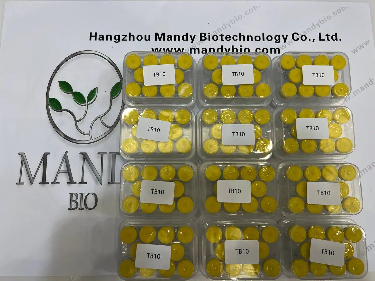 TB-500 10MG